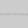 Anti-HSD17B3 antibody